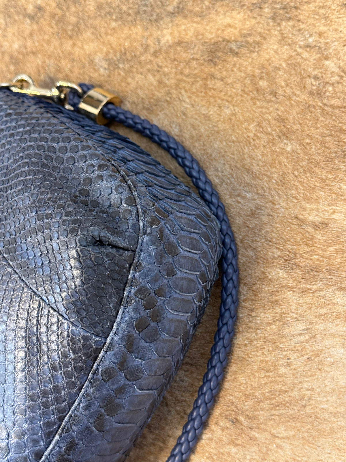 Gucci G-wave blue Python era Frida Giannini
