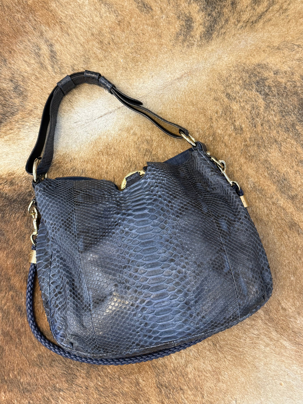 Gucci G-wave blue Python era Frida Giannini
