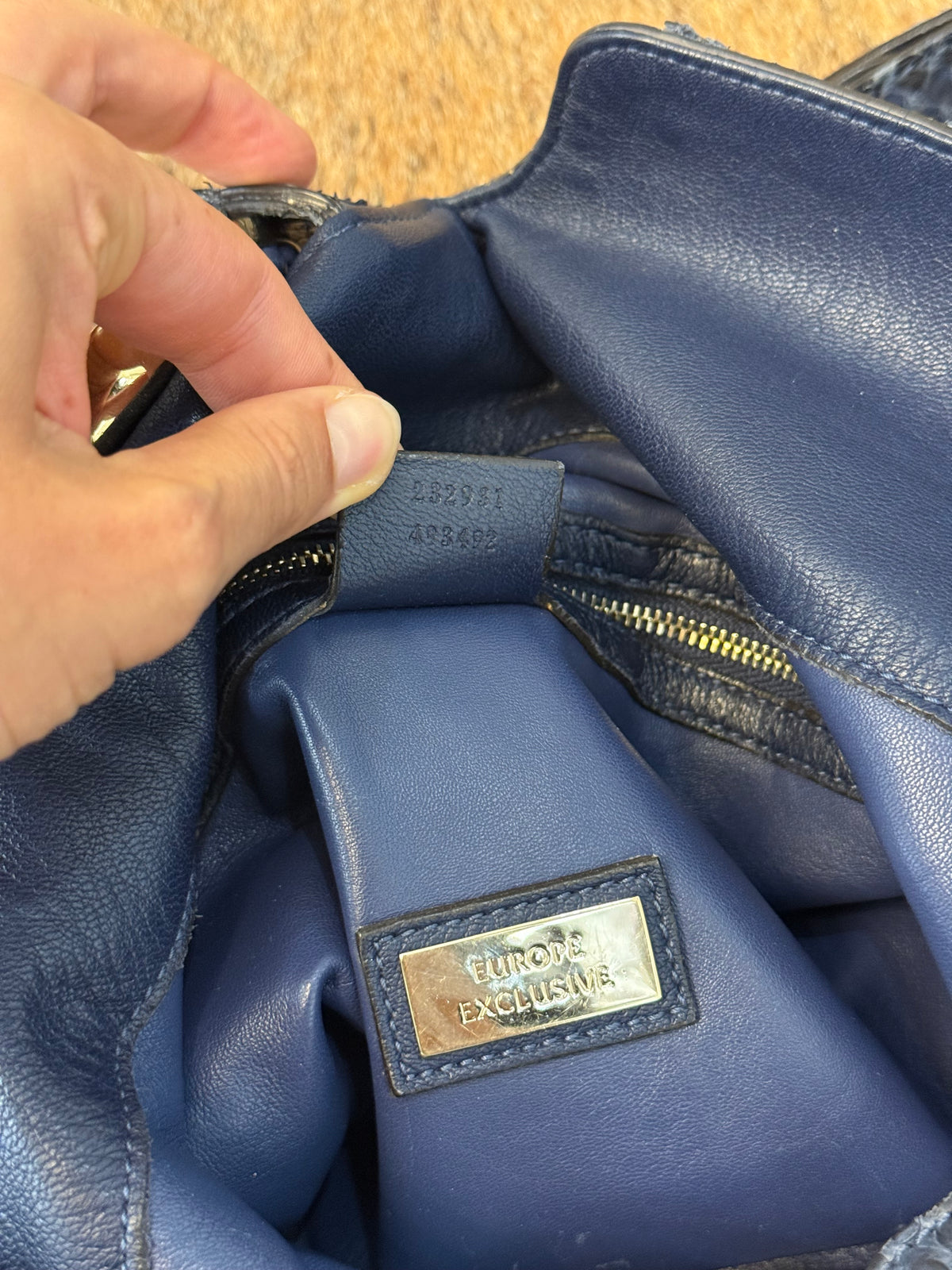 Gucci G-wave blue Python era Frida Giannini