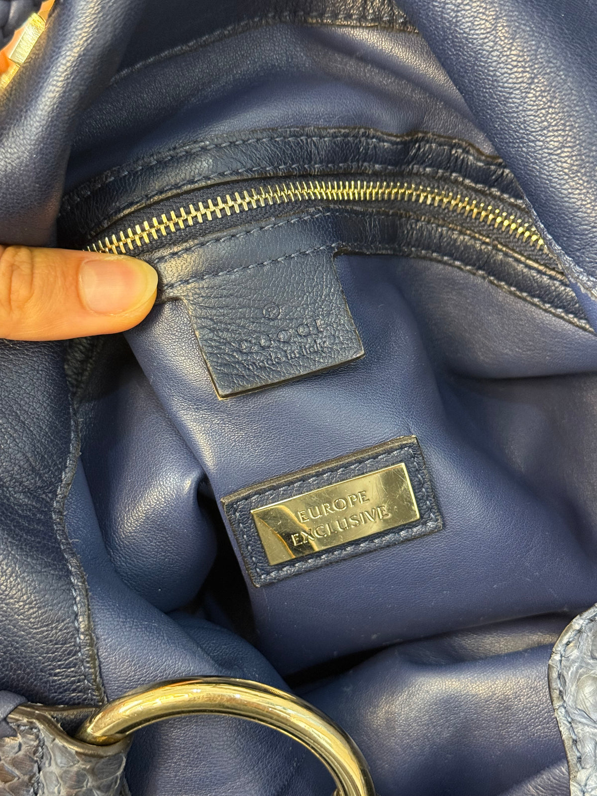 Gucci G-wave blue Python era Frida Giannini