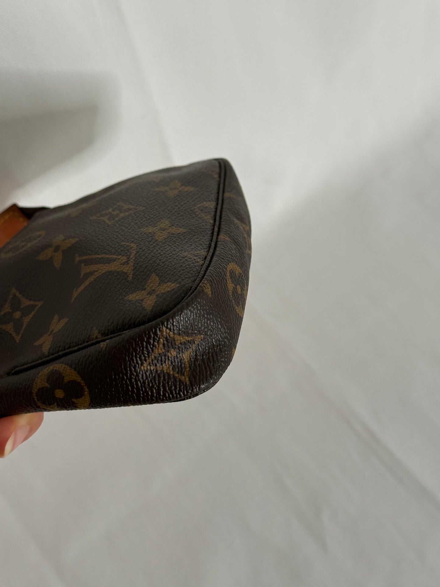Louis Vuitton mini monogram accessory clutch bag