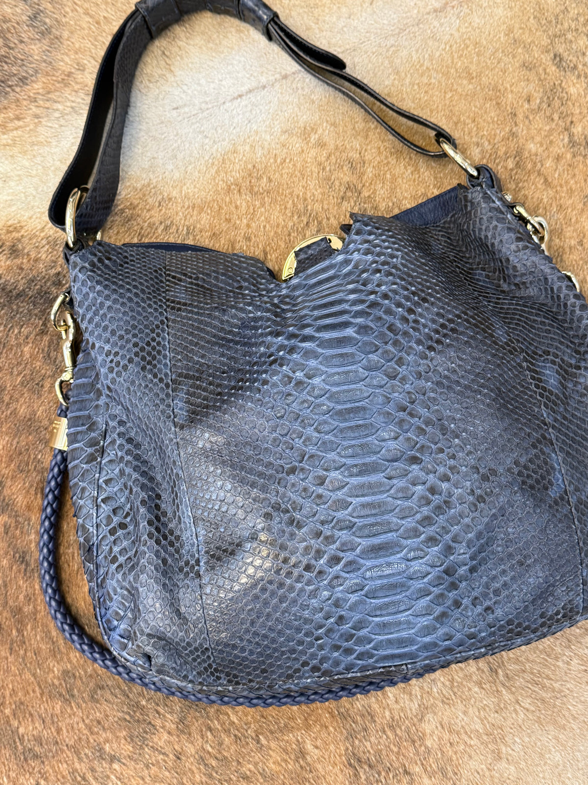 Gucci G-wave blue Python era Frida Giannini
