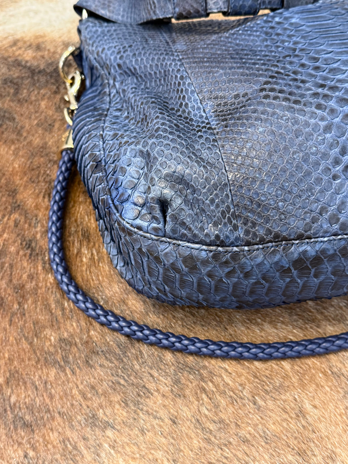 Gucci G-wave blue Python era Frida Giannini