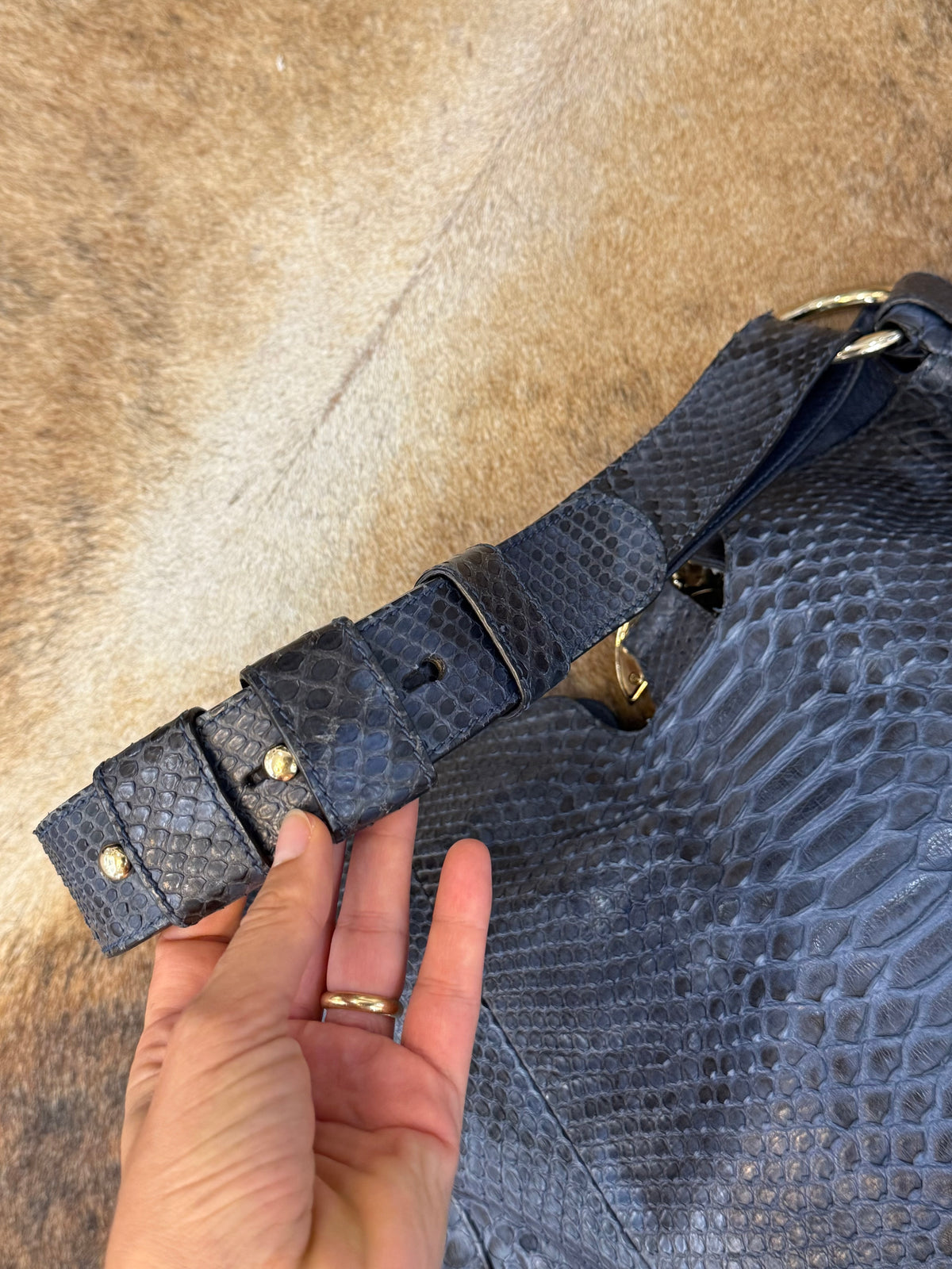 Gucci G-wave blue Python era Frida Giannini