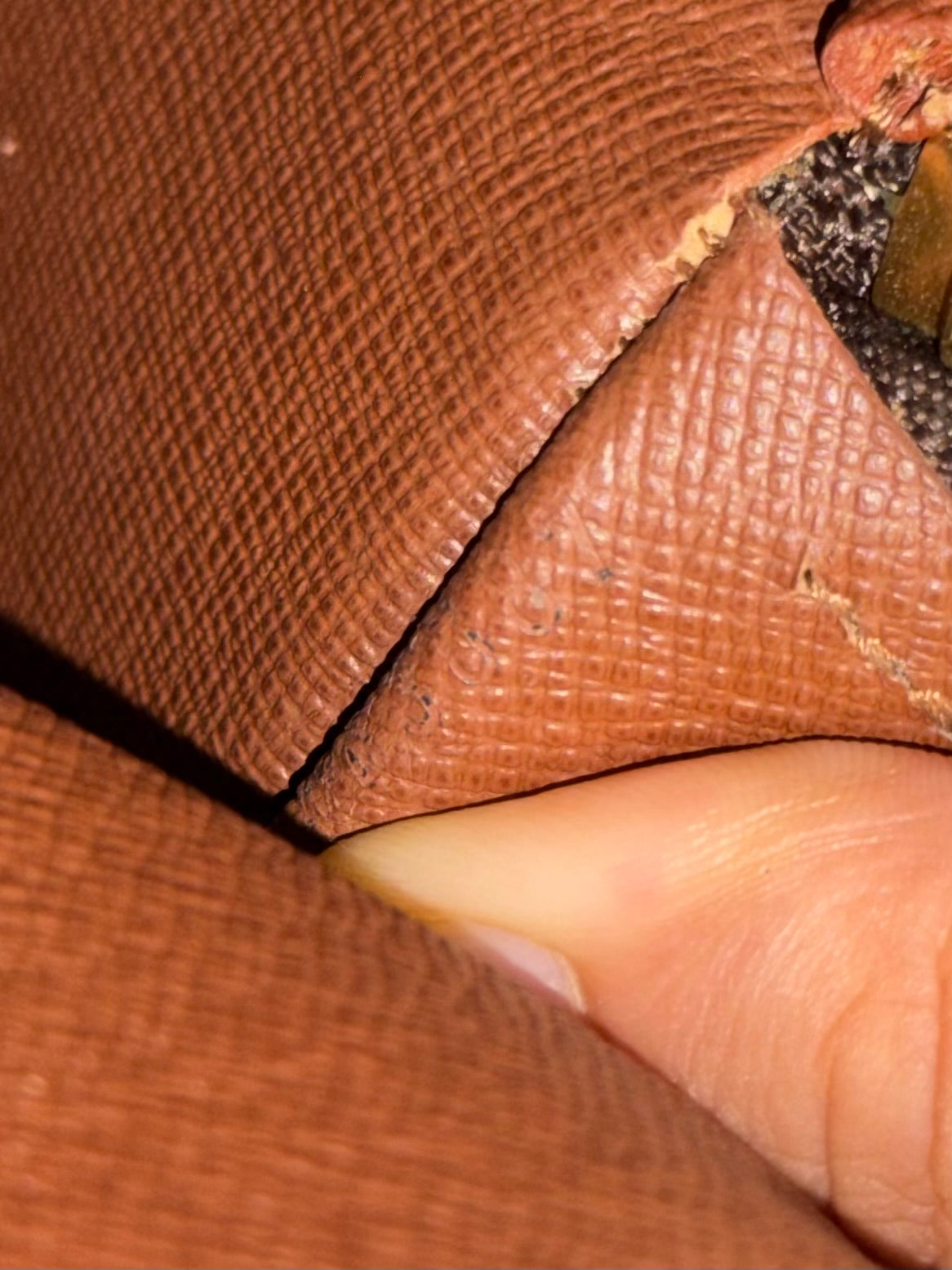 Louis Vuitton papillon 30 + mini
