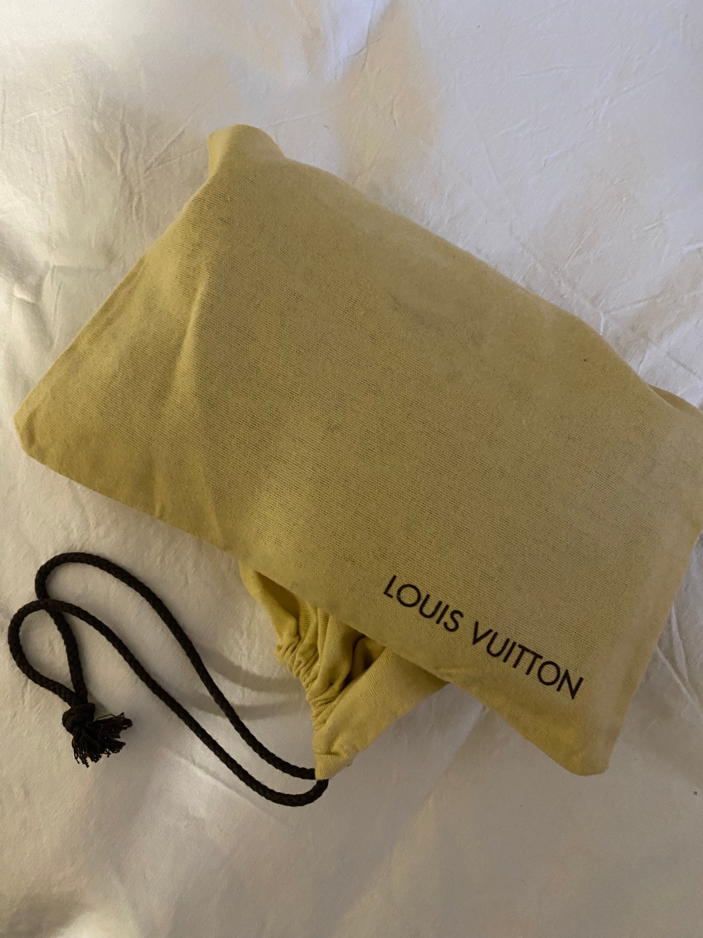 Louis Vuitton accessory clutch bag with dustbag